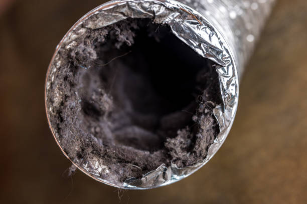 Best Air Duct Cleaning Near Me  in Yellow Springs, OH